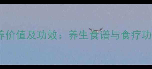 鱿鱼的营养价值及功效养生食谱与食疗功效全指南