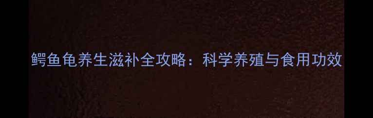 图片 鳄鱼龟养生滋补全攻略：科学养殖与食用功效