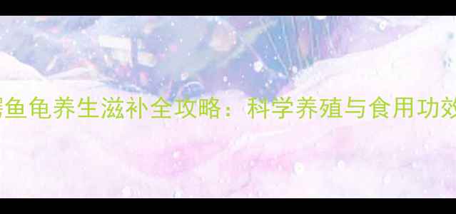 鳄鱼龟养生滋补全攻略科学养殖与食用功效