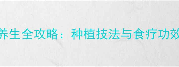 图片 鸡蛋花养生全攻略：种植技法与食疗功效的科学