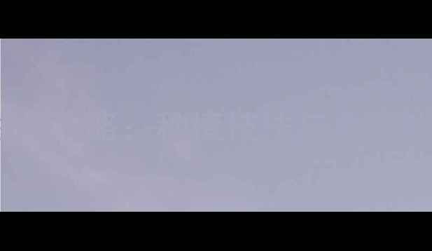 鸡蛋花养生全攻略种植技法与食疗功效的科学