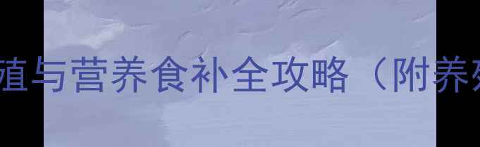 鸽子养生科学养殖与营养食补全攻略附养殖技术食疗配方