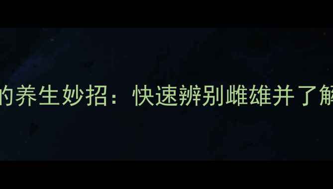 鸽子分公母的养生妙招快速辨别雌雄并了解其滋补功效