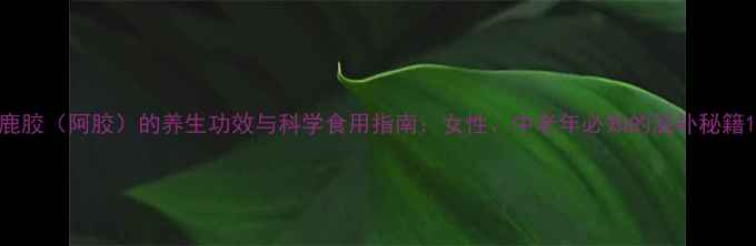 鹿胶阿胶的养生功效与科学食用指南女性中老年必知的滋补秘籍