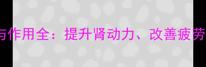 图片 鹿鞭片功效与作用全：提升肾动力、改善疲劳的天然方案1