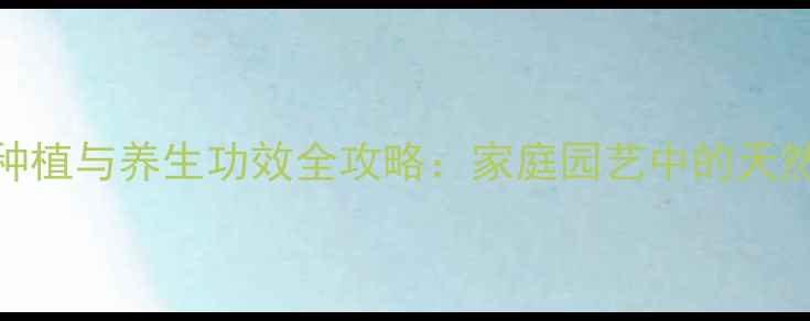 麦冬盆栽种植与养生功效全攻略家庭园艺中的天然保健宝库