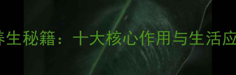 麦饭石养生秘籍十大核心作用与生活应用指南
