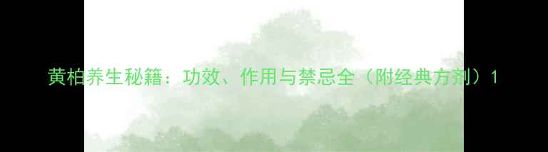 图片 黄柏养生秘籍：功效、作用与禁忌全（附经典方剂）1