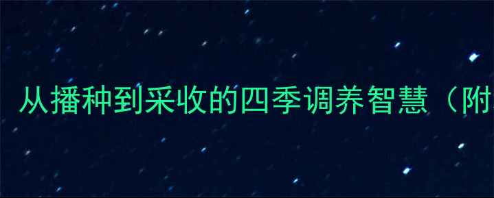 黄瓜种植养生指南从播种到采收的四季调养智慧附科学种植全流程