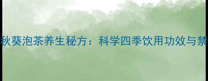 黄秋葵泡茶养生秘方科学四季饮用功效与禁忌
