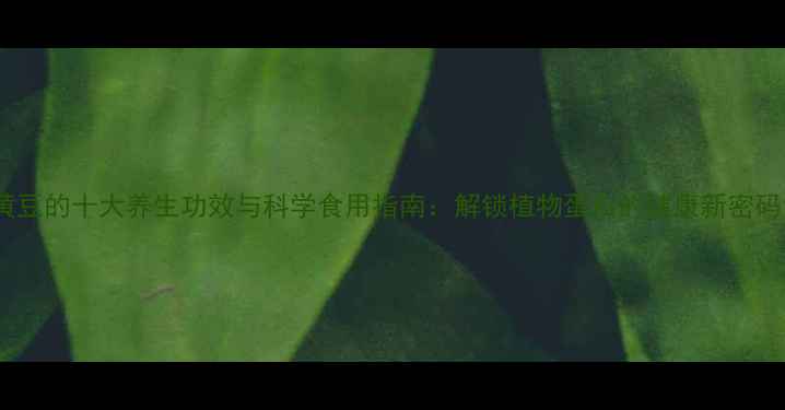 黄豆的十大养生功效与科学食用指南解锁植物蛋白的健康新密码