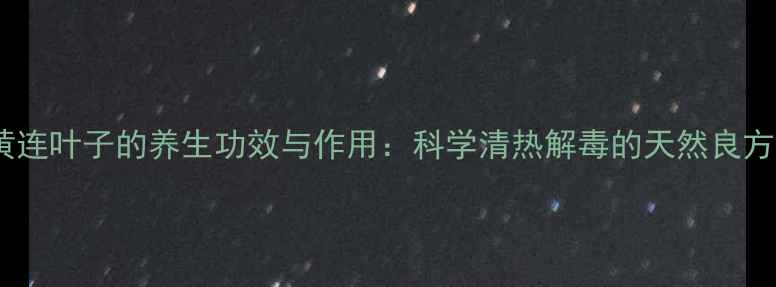 黄连叶子的养生功效与作用科学清热解毒的天然良方