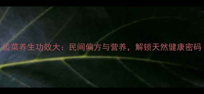 图片 齿菜养生功效大：民间偏方与营养，解锁天然健康密码