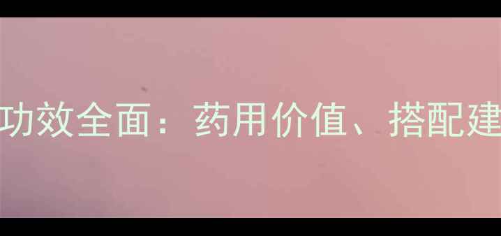图片 龙爪菊花养生功效全面：药用价值、搭配建议及注意事项