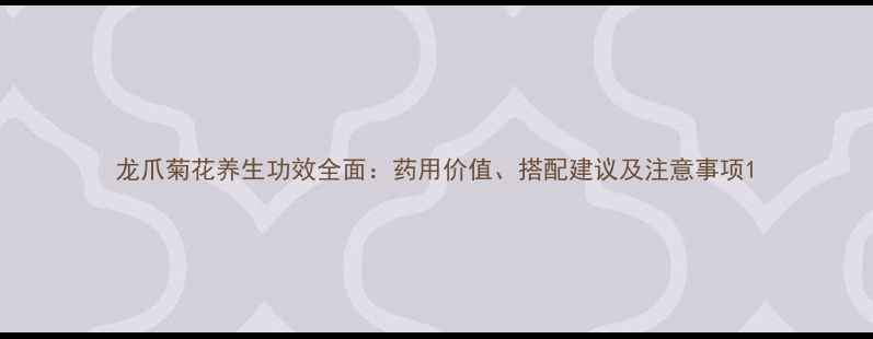龙爪菊花养生功效全面药用价值搭配建议及注意事项