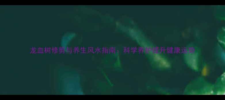 图片 龙血树修剪与养生风水指南：科学养护提升健康运势