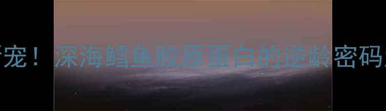 抗老新宠深海鳕鱼胶原蛋白的逆龄密码大公开