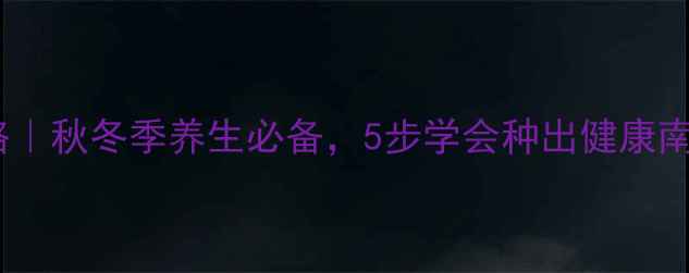 南瓜种植全攻略秋冬季养生必备5步学会种出健康南瓜营养翻倍