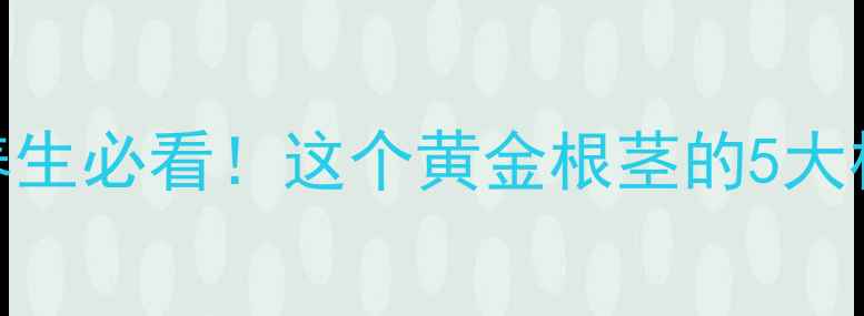 图片 🌟冬术是什么？冬季养生必看！这个黄金根茎的5大核心功效与搭配秘籍🔥