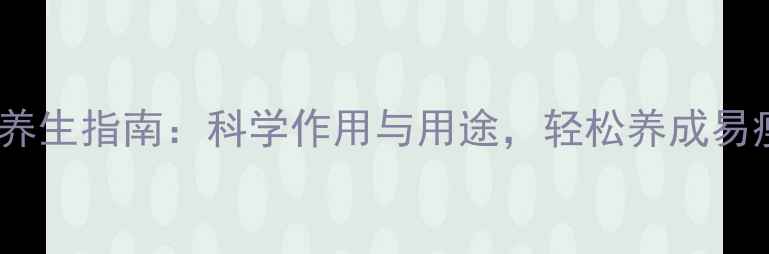 左氧片养生指南科学作用与用途轻松养成易瘦体质