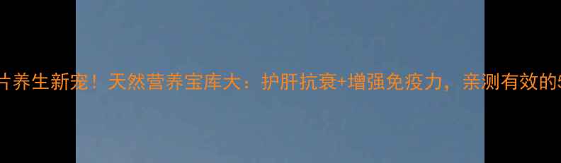 沙棘片养生新宠天然营养宝库大护肝抗衰增强免疫力亲测有效的5大功效