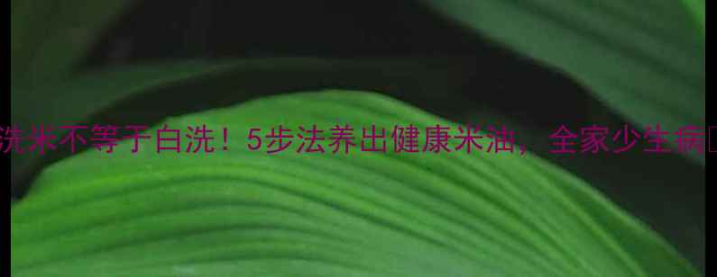 洗米不等于白洗5步法养出健康米油全家少生病