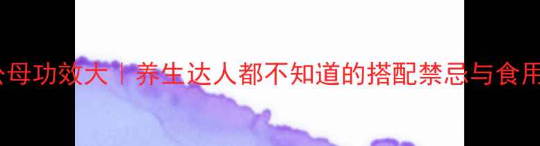 海马公母功效大养生达人都不知道的搭配禁忌与食用指南