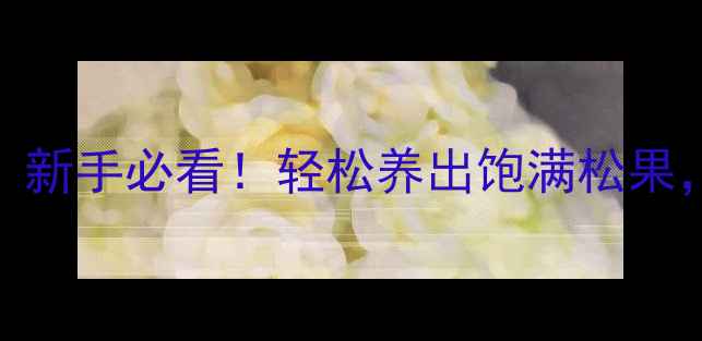 球松养护全攻略新手必看轻松养出饱满松果附懒人照护日历