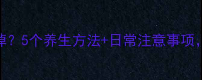 图片 🌟肉痣怎么去掉？5个养生方法+日常注意事项，皮肤更健康🌟