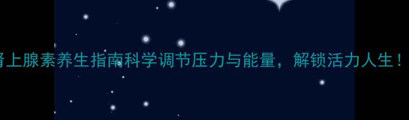 肾上腺素养生指南科学调节压力与能量解锁活力人生