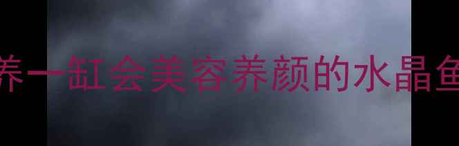 图片 🌟花手巾鱼风水养颜指南养一缸会美容养颜的水晶鱼，健康水族箱打造秘籍！