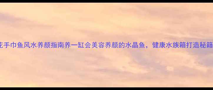 花手巾鱼风水养颜指南养一缸会美容养颜的水晶鱼健康水族箱打造秘籍
