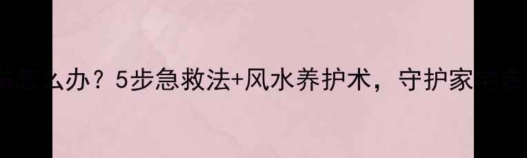 锦鲤受伤怎么办5步急救法风水养护术守护家宅吉祥寓意