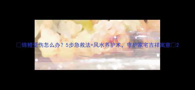 图片 🌟锦鲤受伤怎么办？5步急救法+风水养护术，守护家宅吉祥寓意🌟2