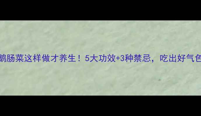 图片 🌟鹅肠菜这样做才养生！5大功效+3种禁忌，吃出好气色🌿