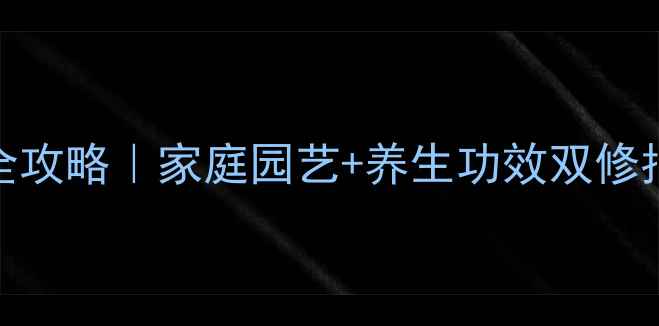 三角梅地栽全攻略家庭园艺养生功效双修指南新手必看