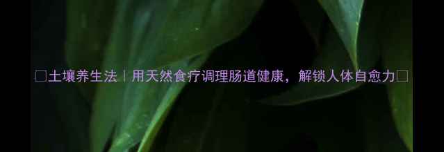 土壤养生法用天然食疗调理肠道健康解锁人体自愈力