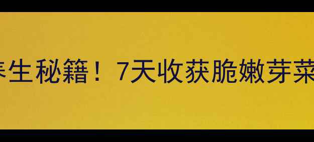 在家发黄豆芽的养生秘籍7天收获脆嫩芽菜营养翻倍还省心