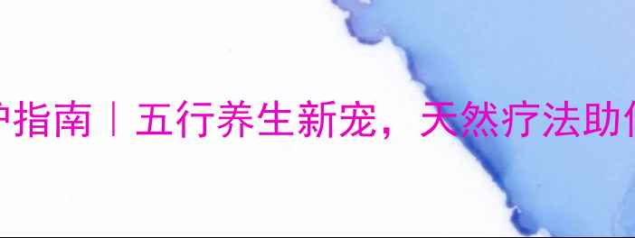 多肉火祭养护指南五行养生新宠天然疗法助你焕发年轻肌