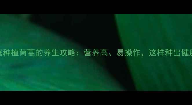 家庭种植茼蒿的养生攻略营养高易操作这样种出健康菜