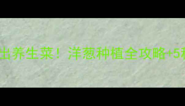 家庭阳台种出养生菜洋葱种植全攻略5种养生食谱