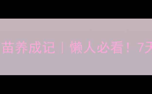 图片 🌱水培黄豆苗神仙豆苗养成记｜懒人必看！7天解锁高蛋白养生菜1