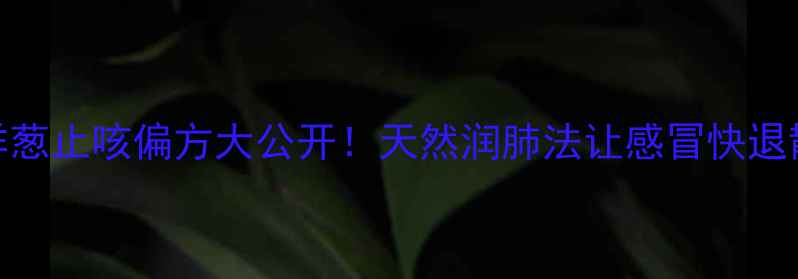 洋葱止咳偏方大公开天然润肺法让感冒快退散