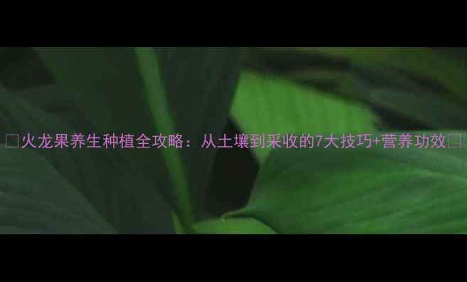 图片 🌱火龙果养生种植全攻略：从土壤到采收的7大技巧+营养功效🌱