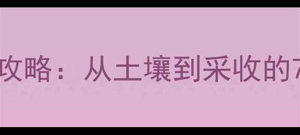 图片 🌱火龙果养生种植全攻略：从土壤到采收的7大技巧+营养功效🌱1
