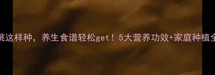 图片 🌱猕猴桃这样种，养生食谱轻松get！5大营养功效+家庭种植全攻略🍓