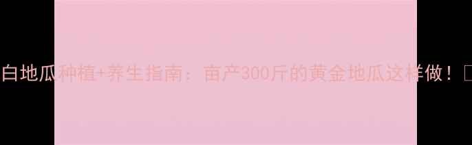 图片 🌱白地瓜种植+养生指南：亩产300斤的黄金地瓜这样做！🍠1