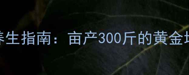 白地瓜种植养生指南亩产300斤的黄金地瓜这样做