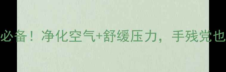 翠花掌养殖家居养生必备净化空气舒缓压力手残党也能养出绿意盎然的小花园