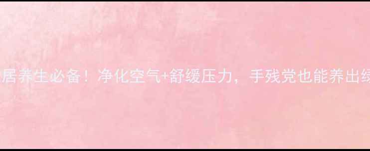 图片 🌱翠花掌养殖｜家居养生必备！净化空气+舒缓压力，手残党也能养出绿意盎然的小花园1